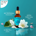 Pilgrim 10% Niacinamide Face Serum With 1% Zinc PCA 10ml