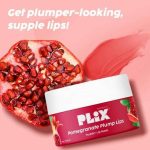 The Plant Fix Plix Pomegranate Plump Lips Puddin' Mask (15 g)