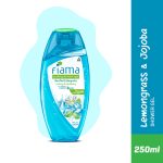 Fiama Men Cool Burst Shower Gel with Skin Conditioner 250 ml